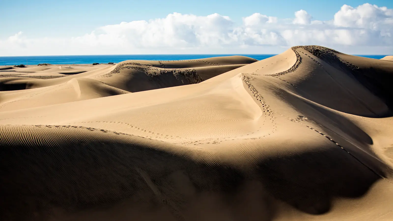 Sweeping sand dunes running down to the sea at Maspalomas, Gran Canaria